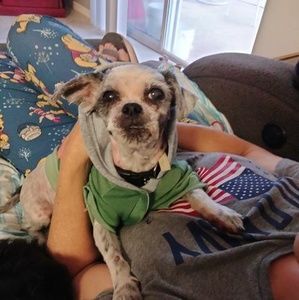 Meet your Posher, Michael lisa